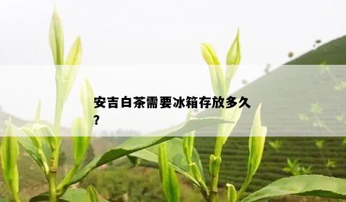 安吉白茶需要冰箱存放多久？