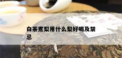 白茶煮梨用什么梨好喝及禁忌