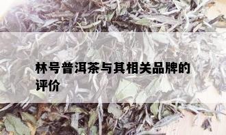 林号普洱茶与其相关品牌的评价