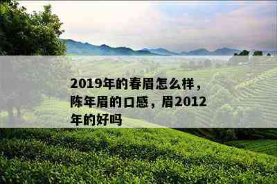 2019年的春眉怎么样，陈年眉的口感，眉2012年的好吗