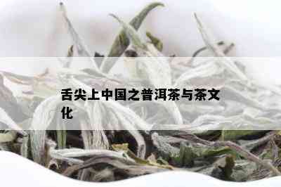 舌尖上中国之普洱茶与茶文化