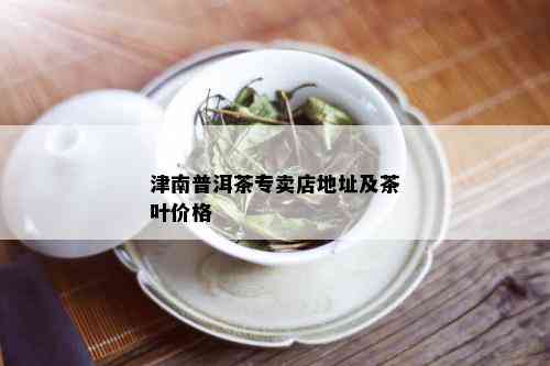 津南普洱茶专卖店地址及茶叶价格