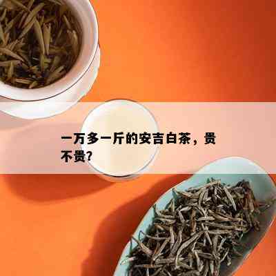 一万多一斤的安吉白茶，贵不贵？