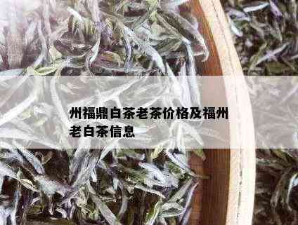 州福鼎白茶老茶价格及福州老白茶信息