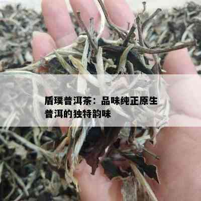 盾璞普洱茶：品味纯正原生普洱的独特韵味