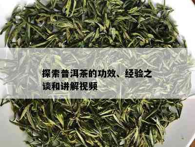 探索普洱茶的功效、经验之谈和讲解视频