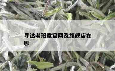 寻达老班章官网及旗舰店在哪