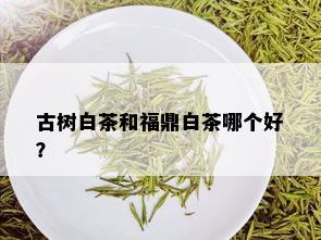 古树白茶和福鼎白茶哪个好？