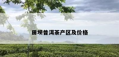 田坝普洱茶产区及价格