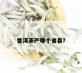 普洱茶产哪个省县？