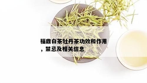 福鼎白茶牡丹茶功效和作用，禁忌及相关信息