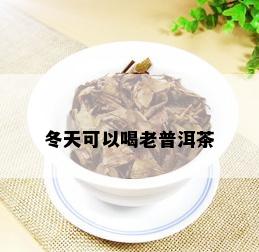 冬天可以喝老普洱茶