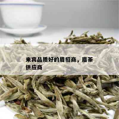 来宾品质好的眉招商，眉茶供应商