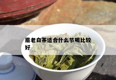 眉老白茶适合什么节喝比较好