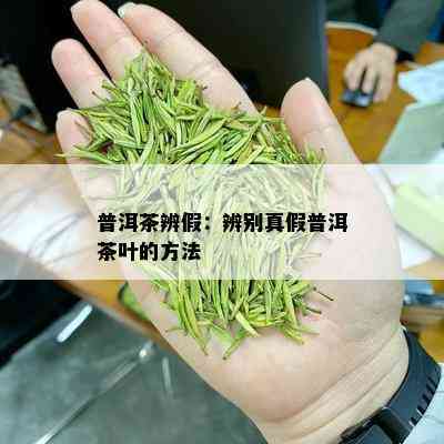 普洱茶辨假：辨别真假普洱茶叶的方法