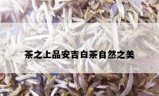 茶之上品安吉白茶自然之美