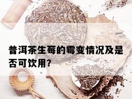 普洱茶生莓的霉变情况及是否可饮用？