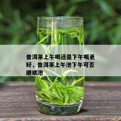 普洱茶上午喝还是下午喝更好，普洱茶上午泡下午可否继续泡