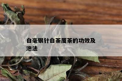 白毫银针白茶厦茶的功效及泡法