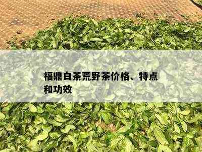 福鼎白茶荒野茶价格、特点和功效