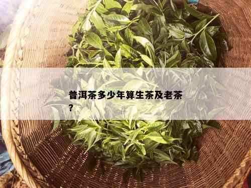 普洱茶多少年算生茶及老茶?