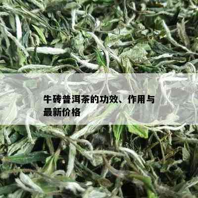 牛砖普洱茶的功效、作用与最新价格