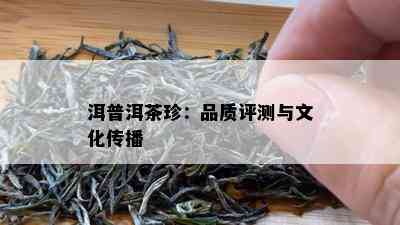 洱普洱茶珍：品质评测与文化传播