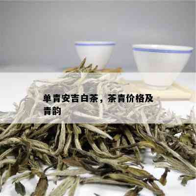 单青安吉白茶，茶青价格及青韵