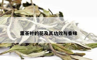 熏茶叶的花及其功效与香味