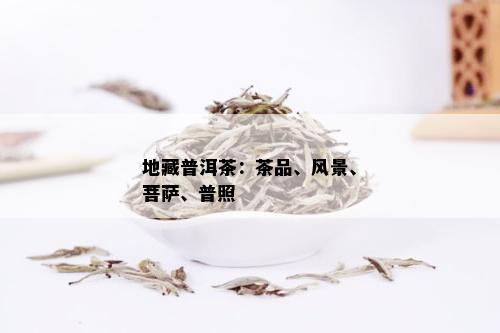 地藏普洱茶：茶品、风景、菩萨、普照