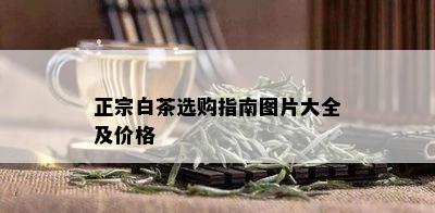 正宗白茶选购指南图片大全及价格