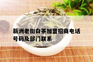 新洲老街白茶加盟招商电话号码及部门联系