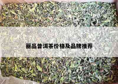 丽品普洱茶价格及品牌推荐