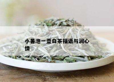 小暑泡一壶白茶福语与润心情