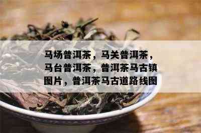 马场普洱茶，马关普洱茶，马台普洱茶，普洱茶马古镇图片，普洱茶马古道路线图 -