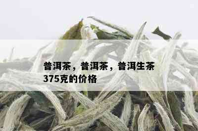 普洱茶，普洱茶，普洱生茶375克的价格