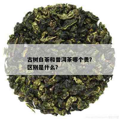 古树白茶和普洱茶哪个贵？区别是什么？