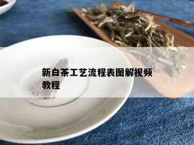 新白茶工艺流程表图解视频教程