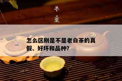 怎么区别是不是老白茶的真假、好坏和品种？