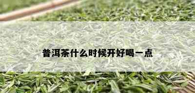 普洱茶什么时候开好喝一点