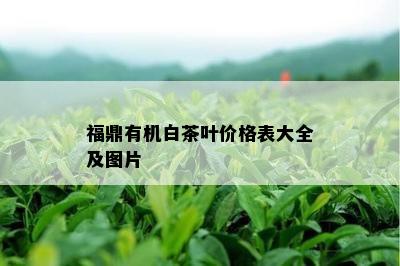 福鼎有机白茶叶价格表大全及图片