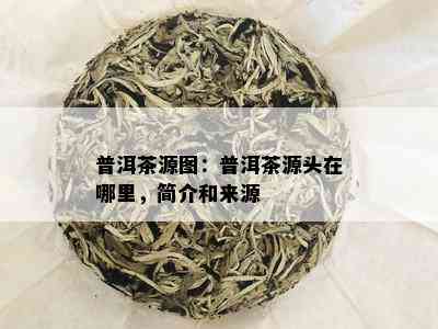 普洱茶源图：普洱茶源头在哪里，简介和来源