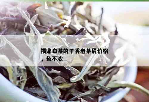 福鼎白茶的子香老茶眉价格，色不浓