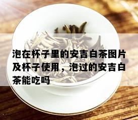 泡在杯子里的安吉白茶图片及杯子使用，泡过的安吉白茶能吃吗