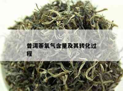 普洱茶氧气含量及其转化过程