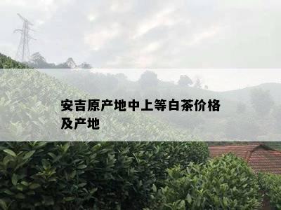 安吉原产地中上等白茶价格及产地