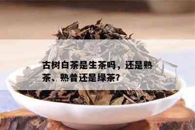 古树白茶是生茶吗，还是熟茶、熟普还是绿茶？