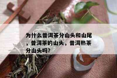 为什么普洱茶分山头和山尾，普洱茶的山头，普洱熟茶分山头吗？