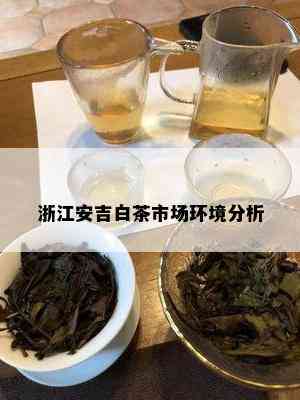 浙江安吉白茶市场环境分析