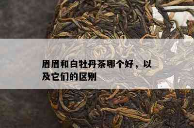 眉眉和白牡丹茶哪个好，以及它们的区别